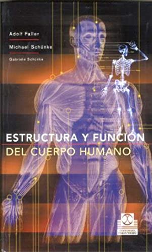 Stock image for ESTRUCTURA Y FUNCIN DEL CUERPO HUMANO (COLOR) for sale by Zilis Select Books