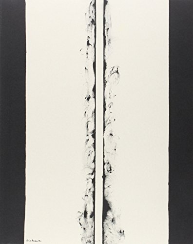 Beispielbild fr Fuego blanco: La coleccin moderna del Kunstmuseum Basel zum Verkauf von AG Library