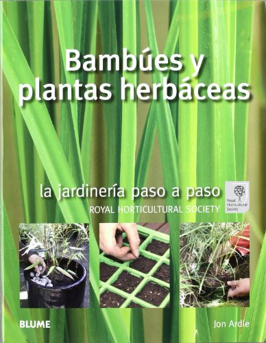 Stock image for BAMBES Y PLANTAS HERBCEAS. LA JARDINERA PASO A PASO for sale by CORRAL DE LIBROS