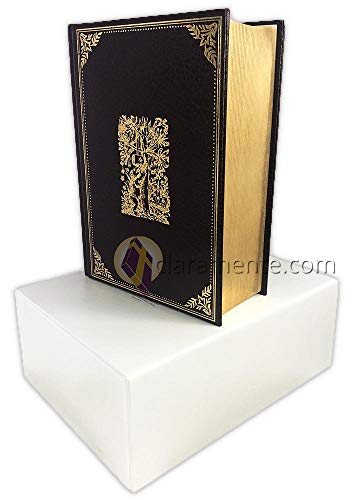 9788480830737: Sagrada Biblia/ 1569 (Spanish Edition)