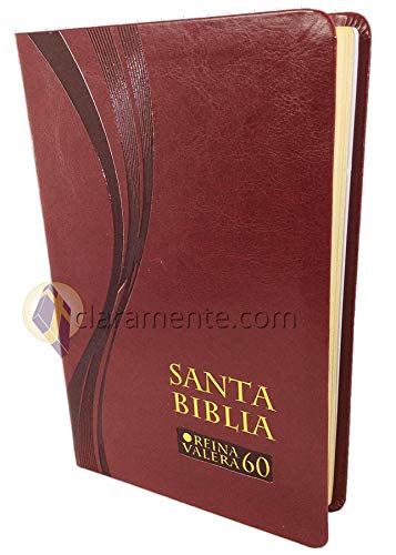 9788480832533: BIBLIA REINA-VALERA 1960