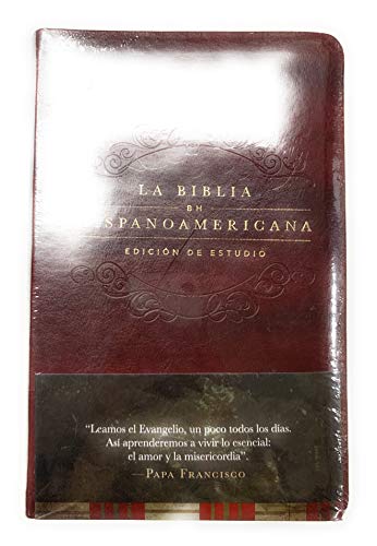 Imagen de archivo de La Biblia Hispanoamericana - Edicion De Estudio a la venta por Juanpebooks