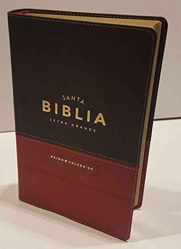 9788480833776: BIBLIA REINA-VALERA 1960