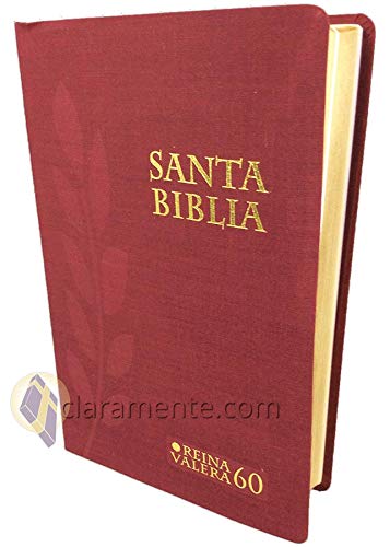 Imagen de archivo de Santa Biblia Letra Grande con Concordancia y Referencia, Reina-Valera 1960, tamao manual, vinil texturado, vino a la venta por Iridium_Books