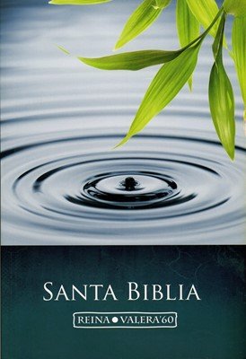 Imagen de archivo de La Biblia a la venta por LibroUsado | TikBooks