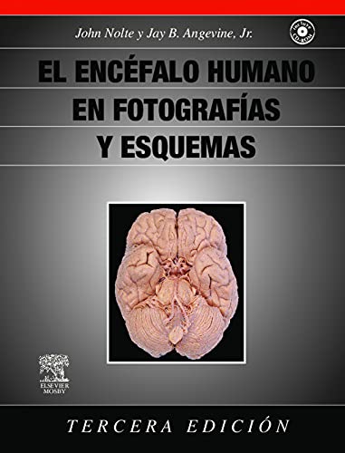 Stock image for El enc falo humano en fotograf as y esquemas (Spanish Edition) for sale by dsmbooks