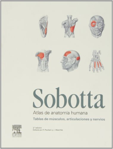 Imagen de archivo de SOBOTTA. Atlas de anatoma humana, 3 vols. + acceso online a la venta por Iridium_Books