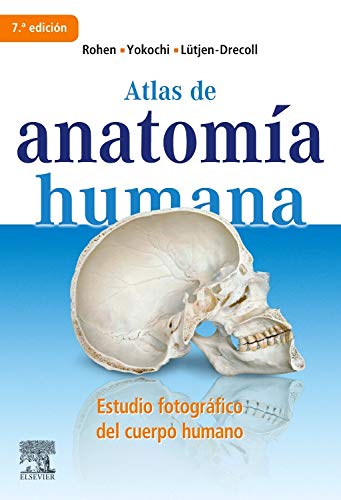 Atlas de anatomia humana. Estudio fotografico del cuerpo humano (Spanish Edition) - Rohen, J. W.; Yokochi, Chihiro