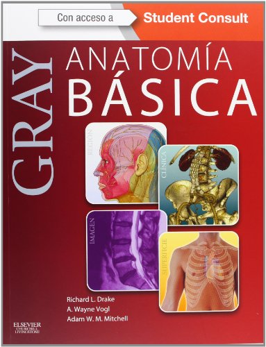 Stock image for GRAY. ANATOMA BSICA + STUDENTCONSULT CON ACCESO A STUDENT CONSULT for sale by Zilis Select Books