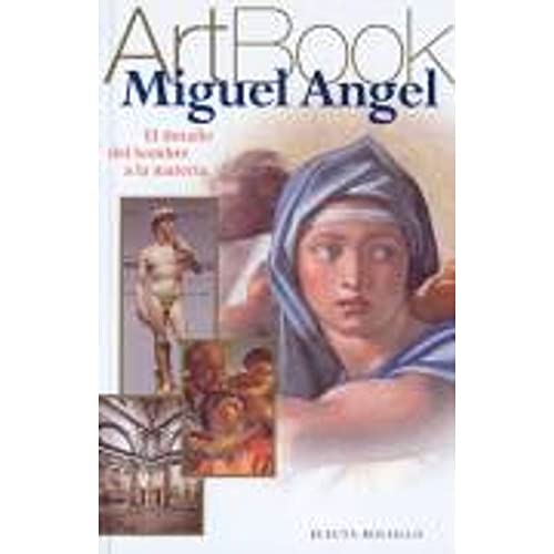 Stock image for Miguel Angel. El Desafio del Hombre a la Materia for sale by Librera 7 Colores