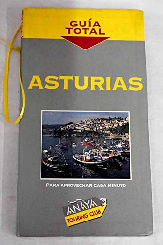 Imagen de archivo de Asturias guia total a la venta por medimops