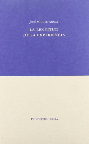 Imagen de archivo de LA LENTITUD DE LA EXPERIENCIA a la venta por KALAMO LIBROS, S.L.
