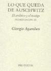 9788481912883: Lo que queda de Auschwitz: El archivo y el testimonio (Ensayo)