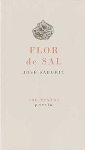 Imagen de archivo de FLOR DE SAL a la venta por KALAMO LIBROS, S.L.