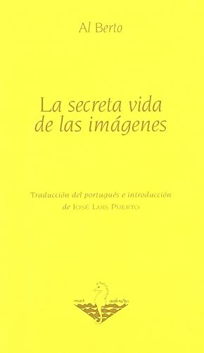 Beispielbild fr La secreta vida de las imgenes zum Verkauf von Iridium_Books