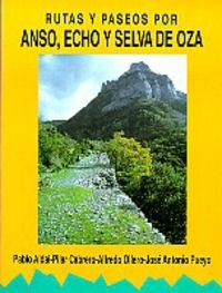 Imagen de archivo de Rutas y paseos por Anso, Echo y Selva de Oza a la venta por MIRADOR A BILBAO