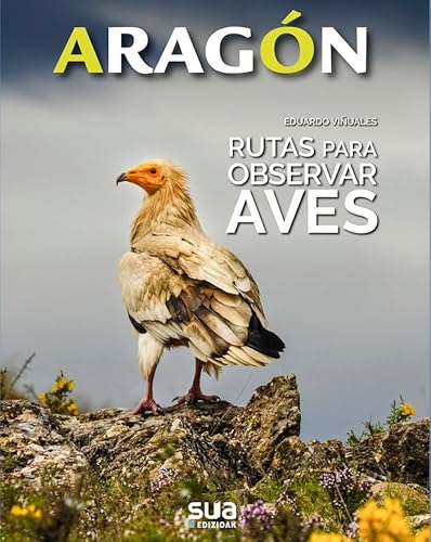 Imagen de archivo de Rutas para observar Aves a la venta por AG Library