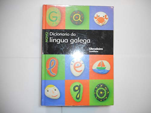 9788482247694: Novo diccionario da lingua galega