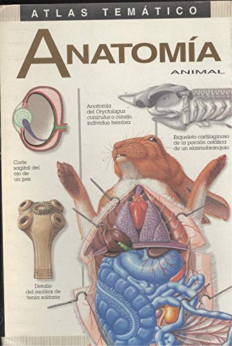 Imagen de archivo de Atlas anatomia animal a la venta por El Pergam Vell