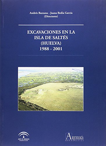 9788482665610: Excavaciones en la isla de Salts (Huelva), 1988-2001