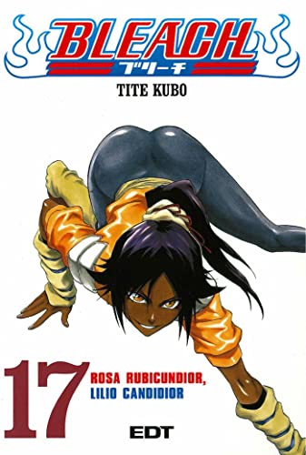 Bleach 17 (Spanish Edition) (9788483573198) by Kubo, Tite