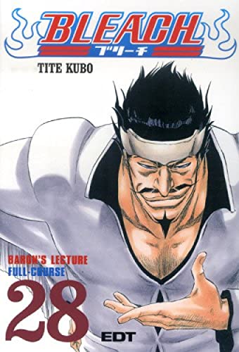 Bleach 28 (Shonen Manga) (Spanish Edition) (9788483575840) by Kubo, Tite