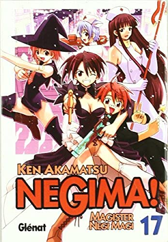 Negima! 17: Magister Negi Magi (Spanish Edition) (9788483576229) by Akamatsu, Ken