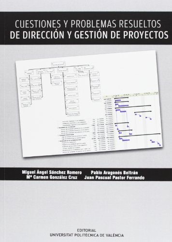 Imagen de archivo de Cuestiones y problemas resueltos de direccin y gestin de proyectos a la venta por Librera Prez Galds