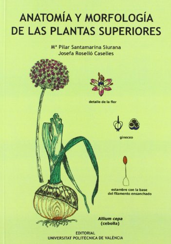 9788483637906: ANATOMA Y MORFOLOGA DE LAS PLANTAS SUPERIORES (Acadmica)