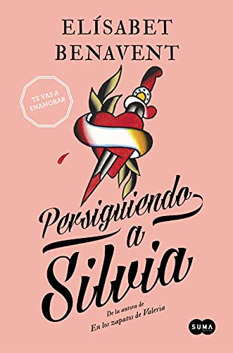 9788483656594: Persiguiendo A Silvia (Saga Silvia; Vol. 1)