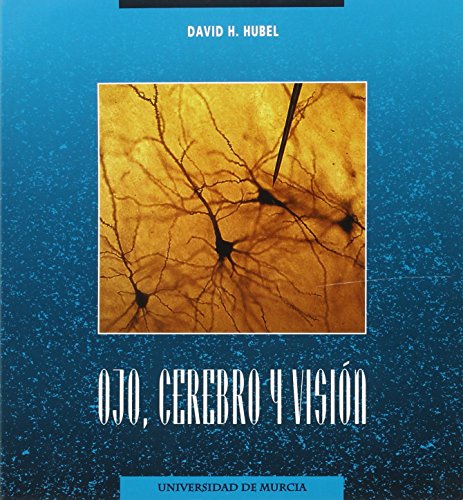 Stock image for Ojo, cerebro y visin for sale by Iridium_Books