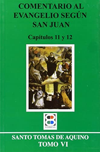 Imagen de archivo de COMENTARIO AL EVANGELIO SEGUN SAN JUAN VI a la venta por Siglo Actual libros