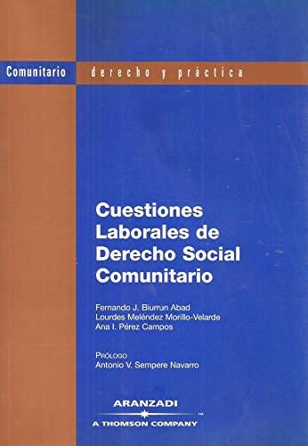 Beispielbild fr Cuestiones laborales de derecho social c zum Verkauf von MARCIAL PONS LIBRERO