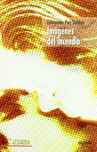 Imagen de archivo de IMGENES DEL INCENDIO. a la venta por KALAMO LIBROS, S.L.