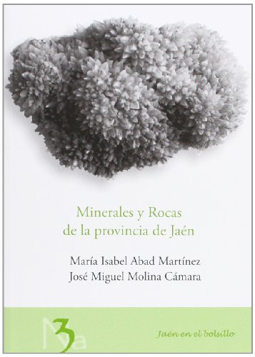 Beispielbild fr MINERALES Y ROCAS DE LA PROVINCIA DE JAN zum Verkauf von Hiperbook Espaa