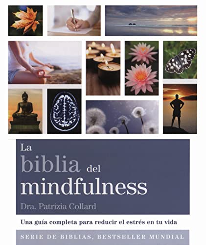 Stock image for la biblia del mindfulness ed gaia for sale by DMBeeBookstore
