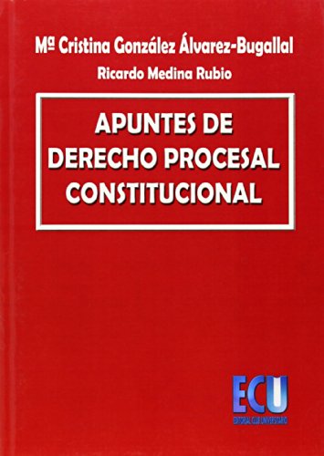 Imagen de archivo de APUNTES DE DERECHO PROCESAL CONSTITUCIONAL a la venta por Librerias Prometeo y Proteo