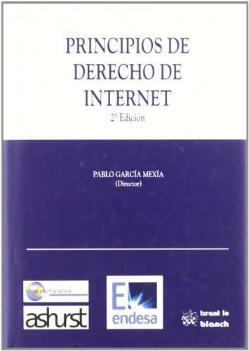 9788484562894: Principios de Derecho de Internet