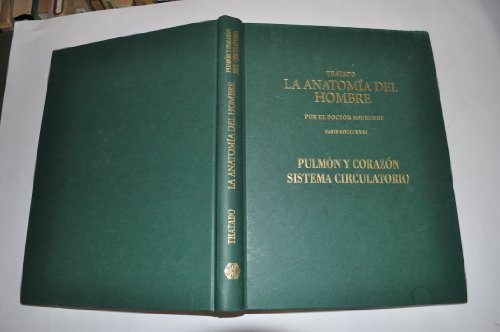 9788484733317: Pulmn y corazn, sistema circulatorio (La anatoma del hombre)