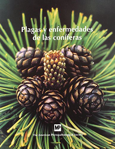 PLAGAS Y ENFERMEDADES DE LAS CONIFERAS