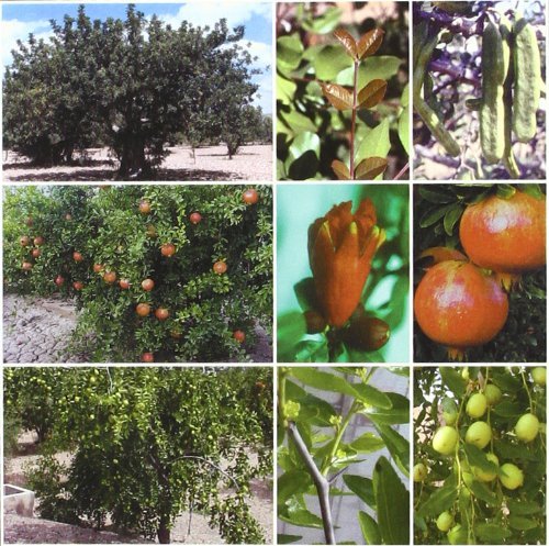 9788484761112: Tratado de fruticultura para zonas ridas y semiridas