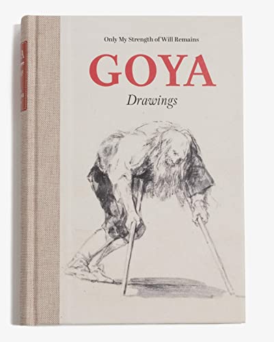 9788484805403: Goya Drawings
