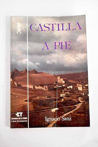 Stock image for Castilla a pie for sale by Libro Usado BM