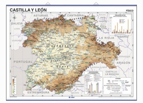 Imagen de archivo de Castilla y Len, fsico / poltico a la venta por AG Library