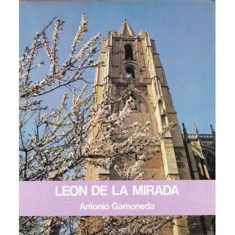 LeoÌn de la mirada (Spanish Edition) (9788485581016) by Gamoneda, Antonio