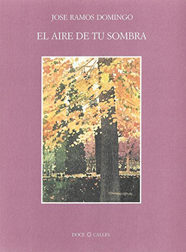 Imagen de archivo de EL AIRE DE TU SOMBRA a la venta por Siglo Actual libros