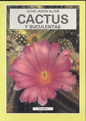 Beispielbild fr Cactus y Suculentas zum Verkauf von Hamelyn