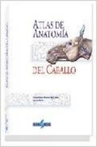 Stock image for ATLAS DE ANATOMIA DEL CABALLO for sale by Iridium_Books