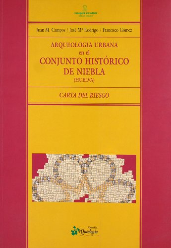 Stock image for Arqueologa en el conjunto histrico de Niebla (Huelva): carta de riesgo for sale by AG Library