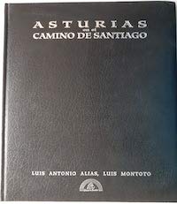 Stock image for Asturias en el Camino de Santiago (Coleccio?n Caminos de Asturias/92) (Spanish Edition) for sale by Iridium_Books